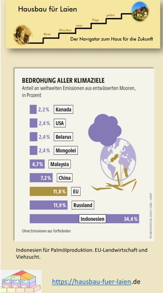 Moore: Indonesien hat den größten Anteil an Klimagasen, da dort die Moore trockengelegt werden.